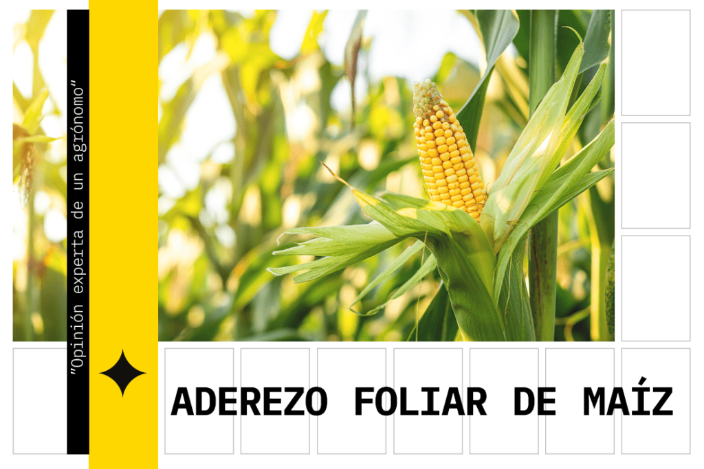 Abonado foliar del maíz