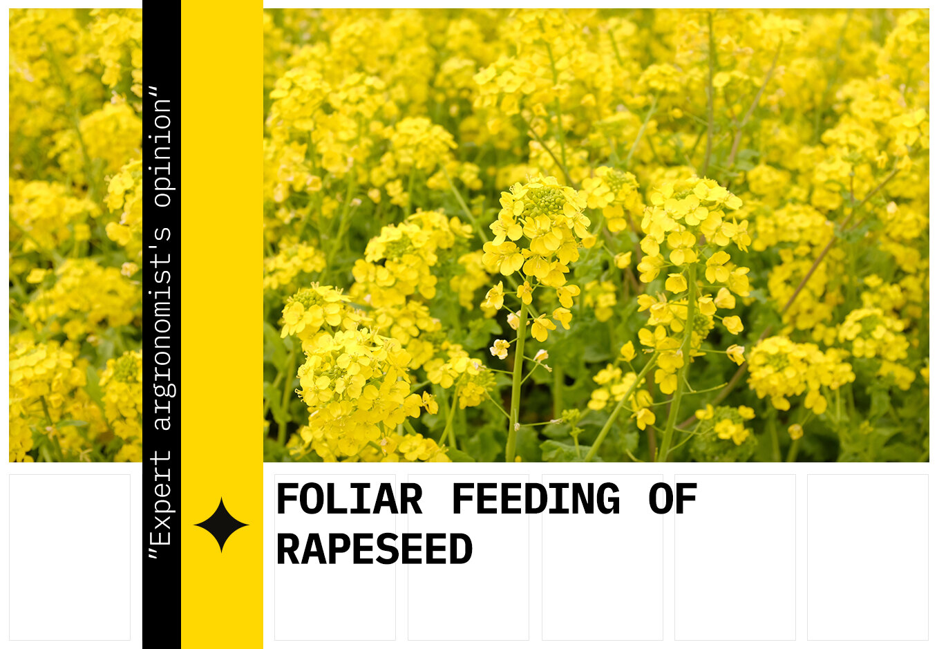 Foliar feeding of rapeseed