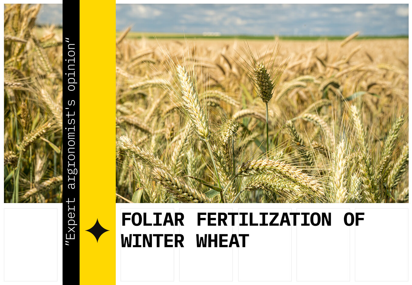 Foliar feeding of cereals