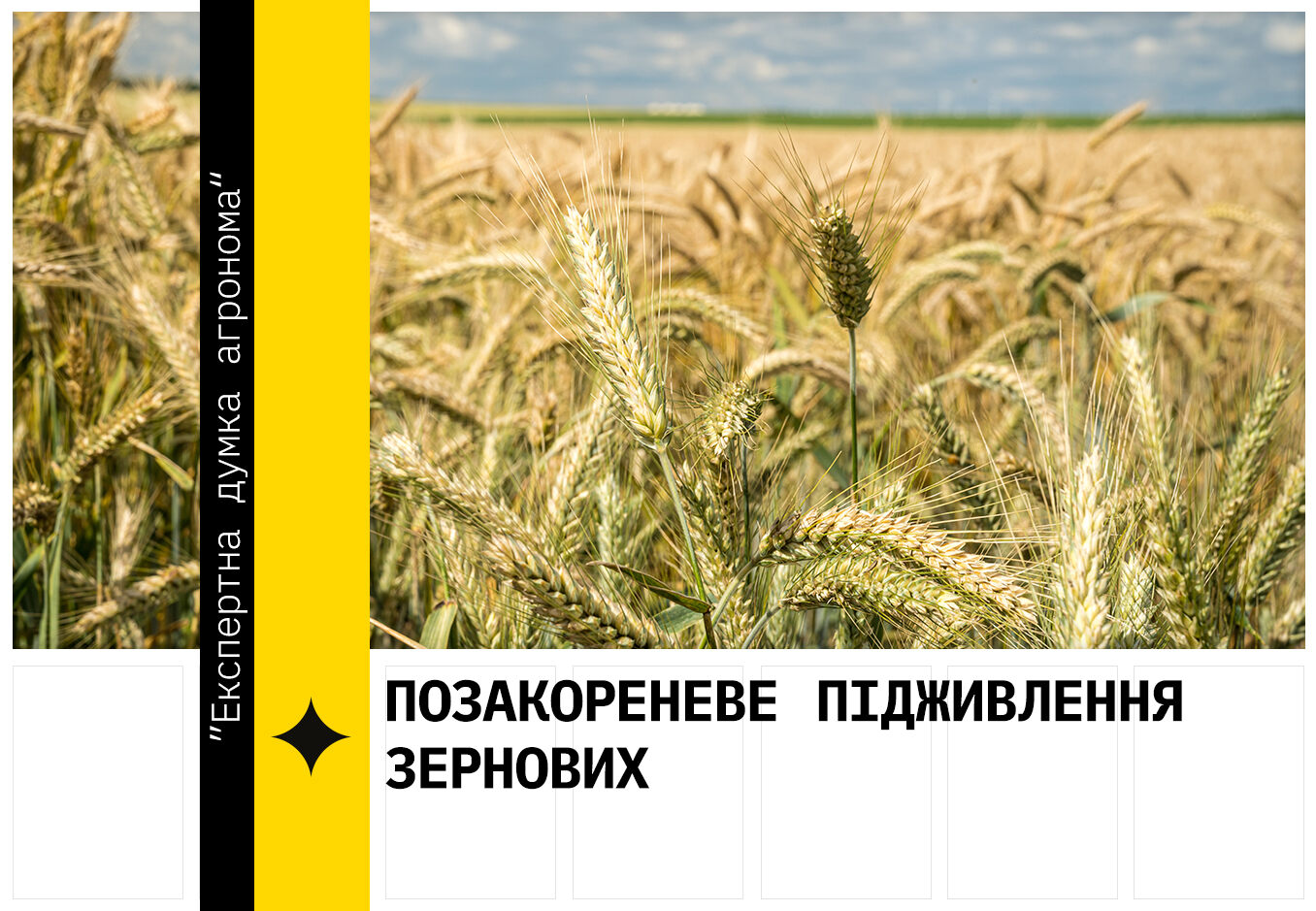 Позакореневе підживлення зернових