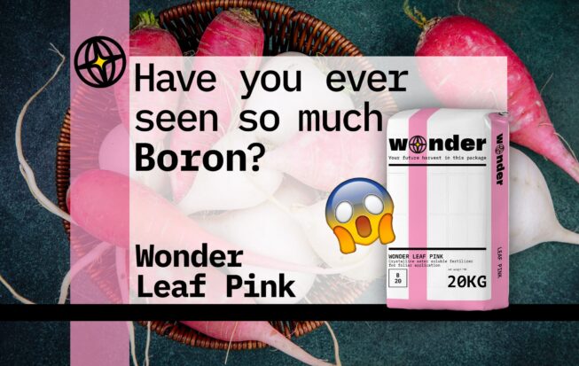 A bag of Wonder Leaf Pink fertilizer against a radish background
