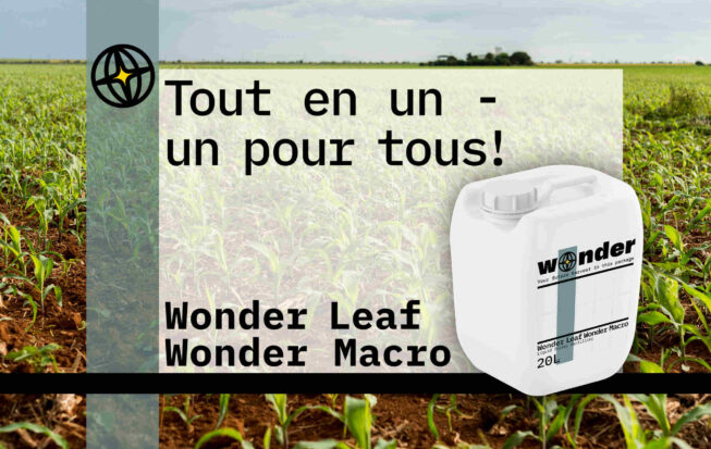 White canister with gray elements with Wonder Leaf Wonder Macro fertilizer. Text - Tout en un - un pour tous!