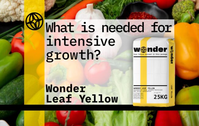 A bag with yellow elements with Wonder Leaf Yellow fertilizer is depicted against the background of vegetables