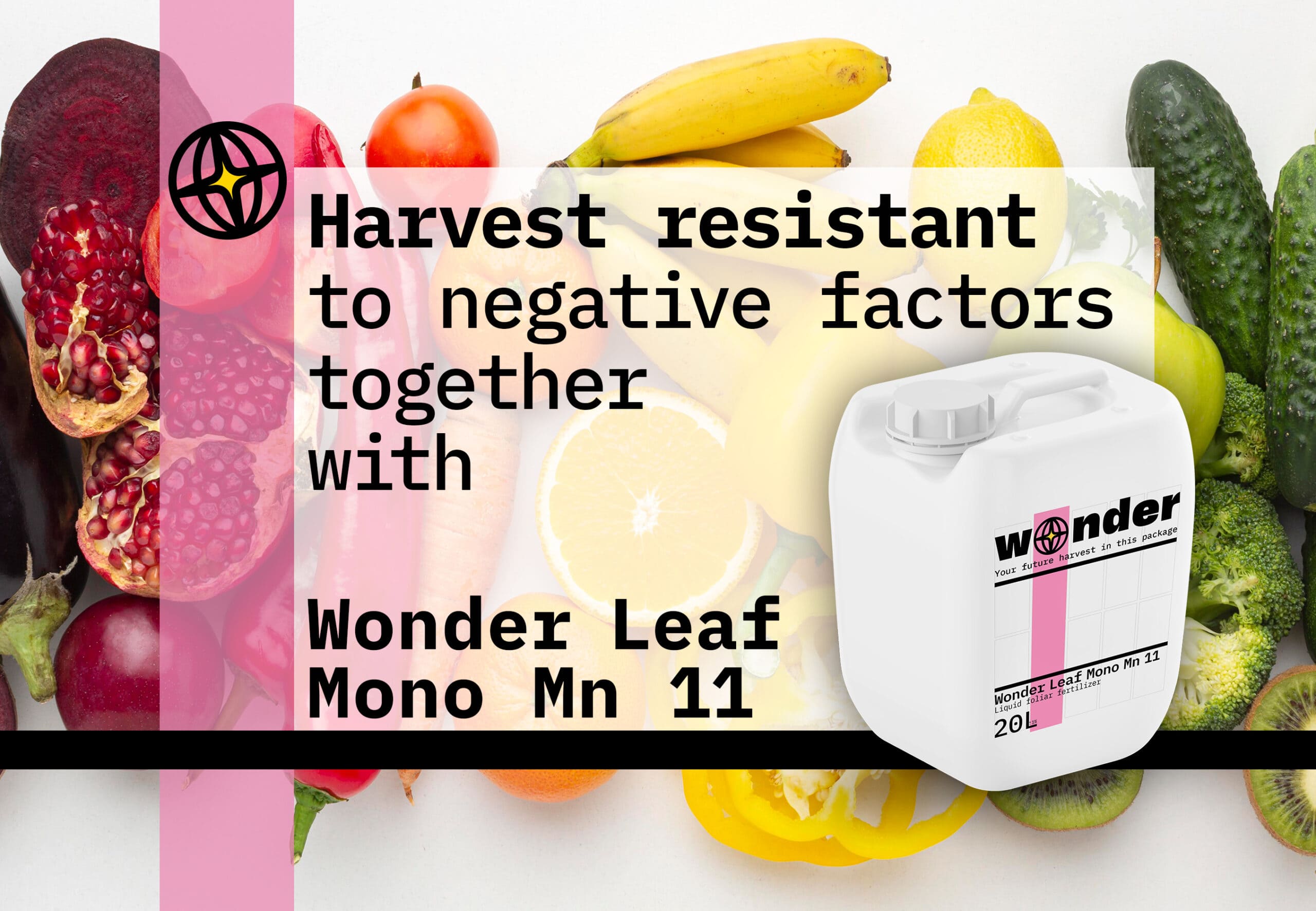 Canister of Wonder Leaf Mono Mn 11 fertilizer on the background of fruit
