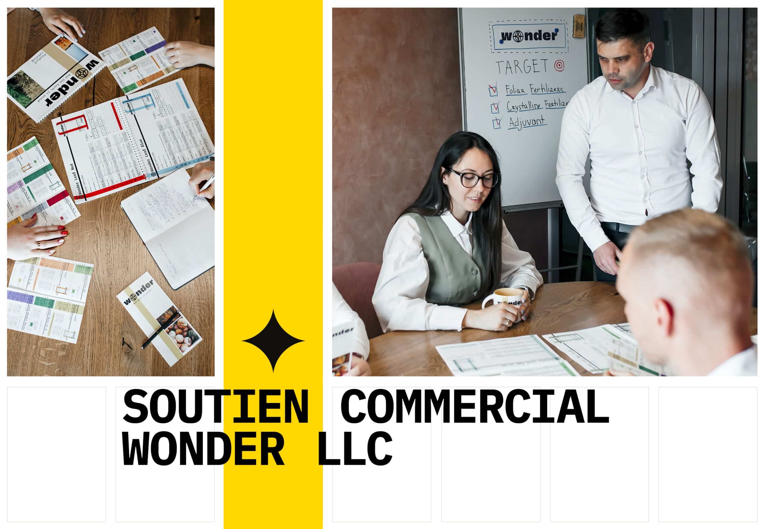 Les employés de Wonder LLC s'assoient à la table et résolvent les problèmes de travail