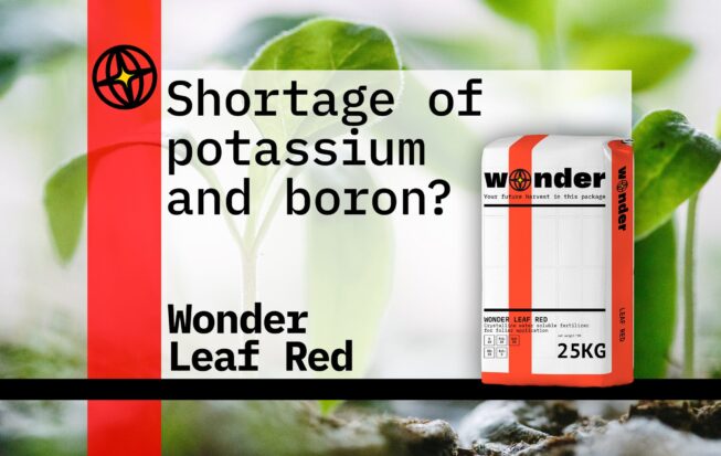 Bag of fertilizer Wonder Leaf Red