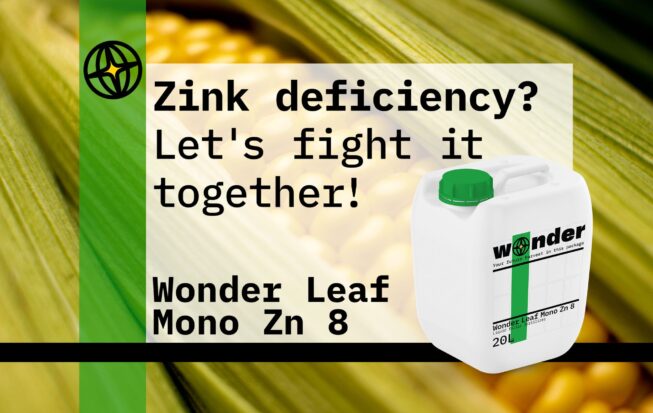 Canister of Wonder Leaf Mono Zn 8 fertilizer on the background of corn
