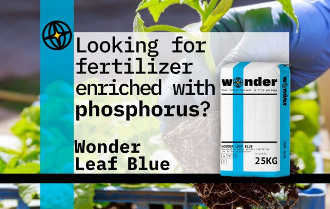 Wonder Leaf Blue fertilizer bag