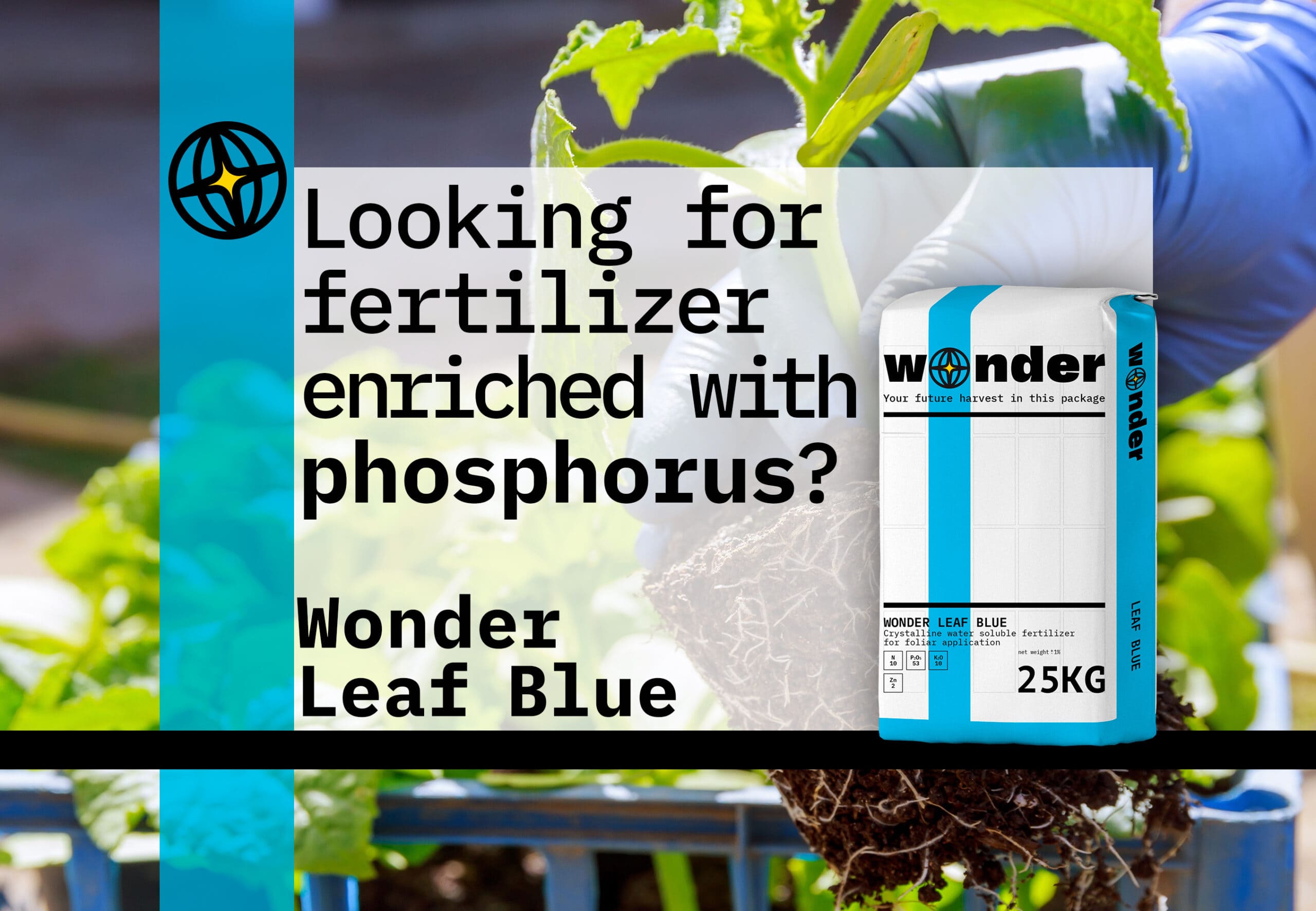 Wonder Leaf Blue fertilizer bag