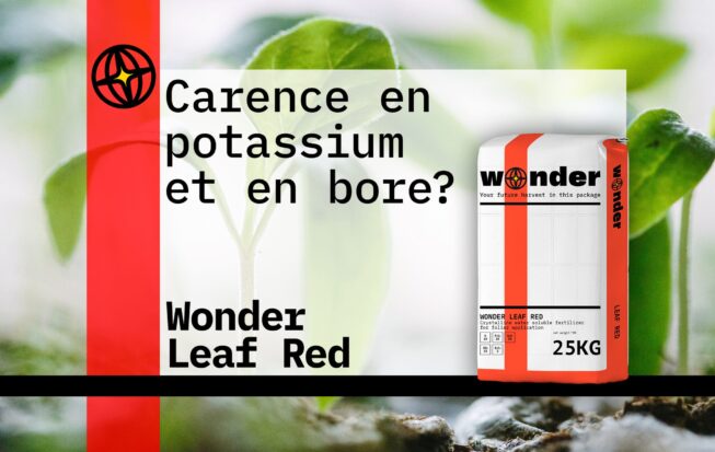 Sac d'engrais Wonder Leaf rouge sur fond de feuilles