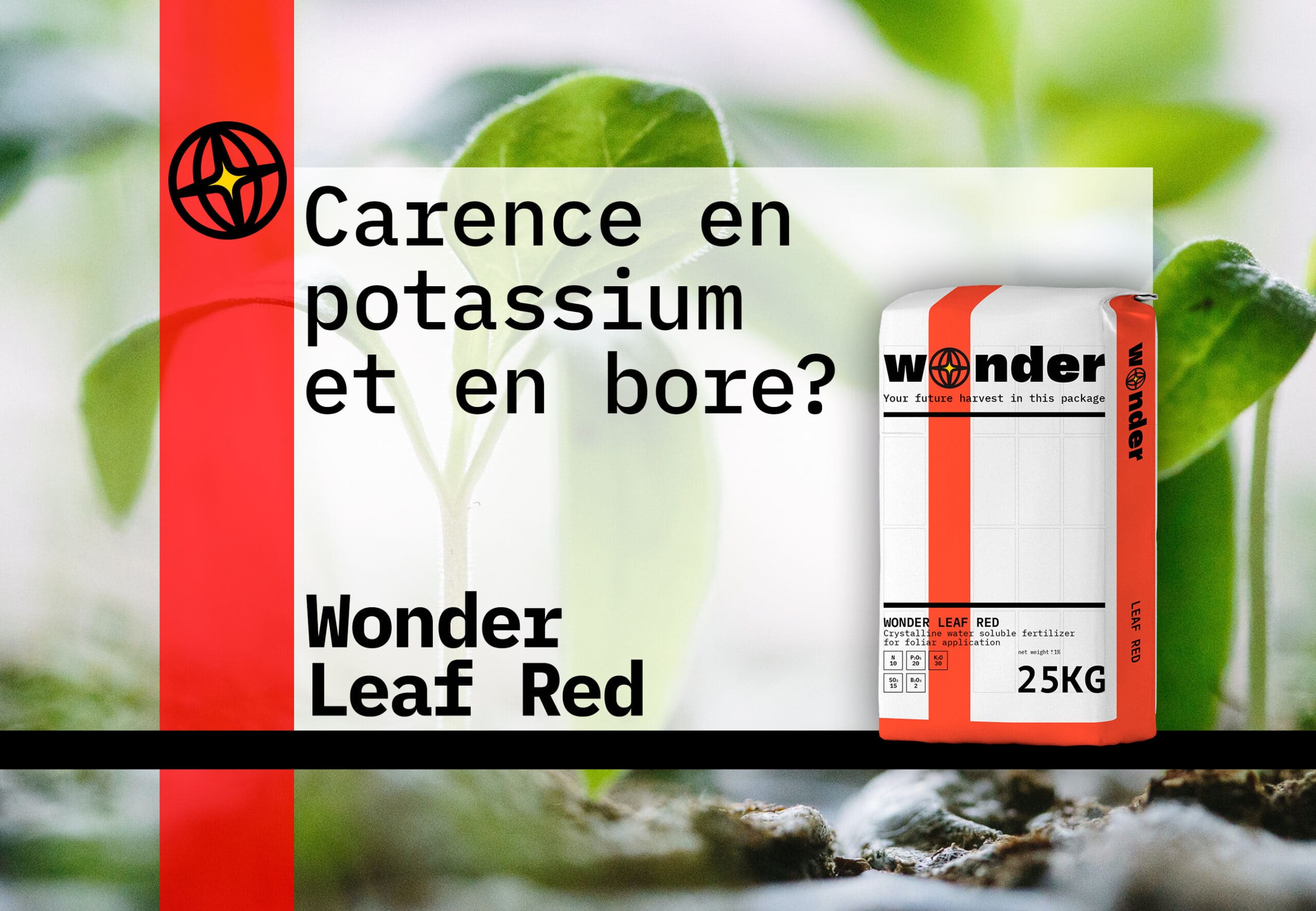 Sac d'engrais Wonder Leaf rouge sur fond de feuilles