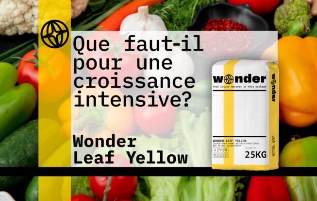 Un sac avec des éléments jaunes contenant de l'engrais Wonder Leaf Yellow est représenté sur fond de légumes.