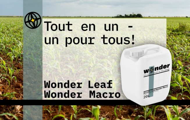 Un bidon d'engrais Wonder Leaf Wonder Macro contre un champ de maïs