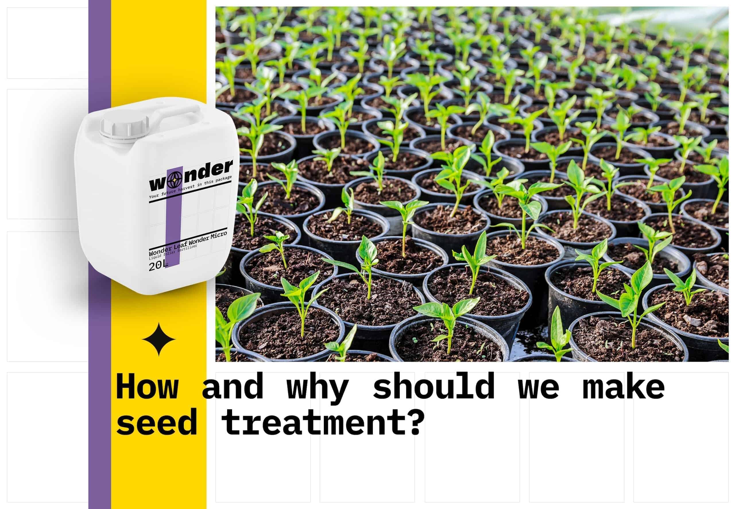 Wonder Leaf Wonder Micro fertilizer at the bottom of pots with plants that have begun to sprout