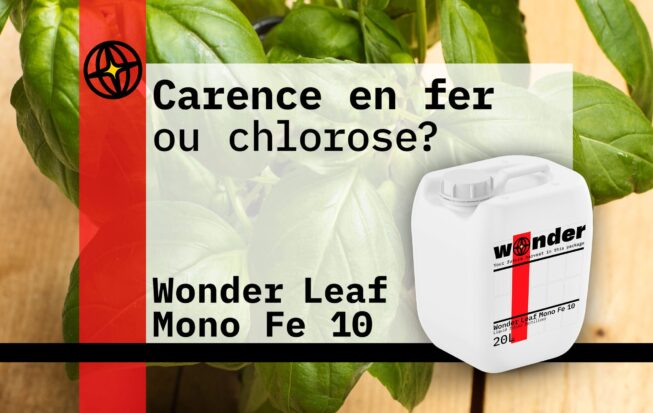 Un bidon d'engrais Wonder Leaf Mono Fe 10 sur fond de feuilles.