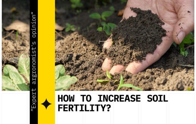 How to increase soil fertility?