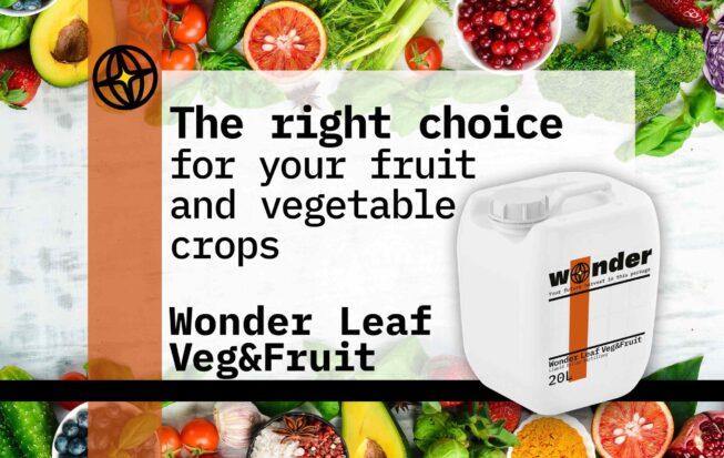 White canister with orange elements with Wonder Leaf Veg&Fruit fertilizer on the background of vegetables and fruits