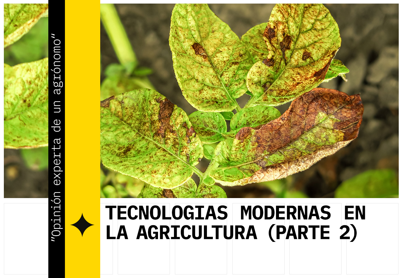 Technologies modernes dans l'agriculture