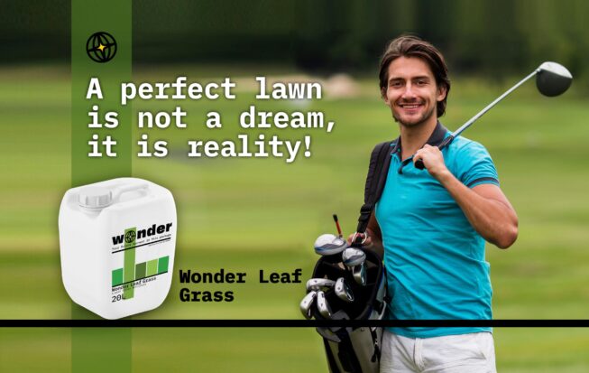 Depicts a man holding a golf club and a lawn, with Wonder Leaf Grass fertilizer on the background of the lawn