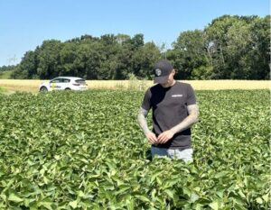 Ігроном компанії Wonder в полі