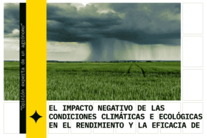 Campo y cielo