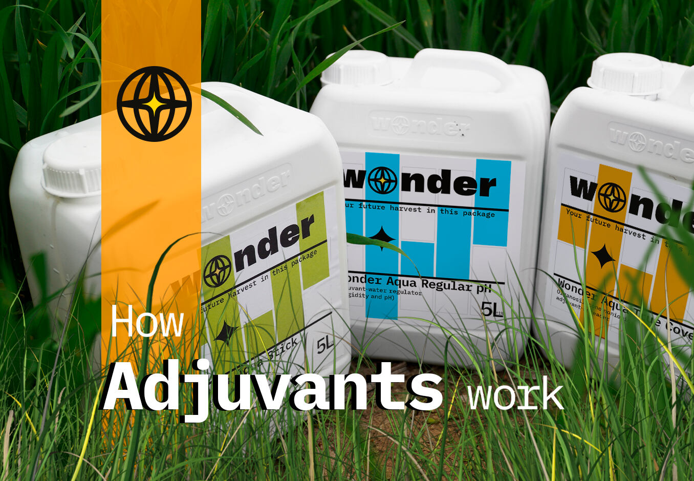 How adjuvants work?