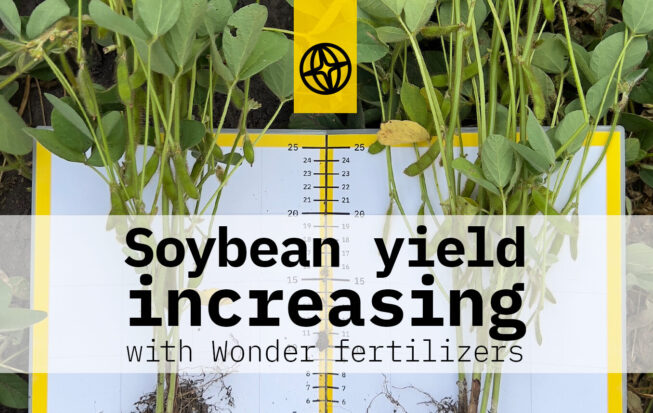 Siybean yield increasing