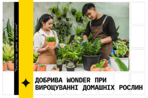 Добрива Wonder при вирощуванні домашніх рослин