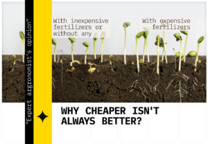 How to choose the fertilizers?