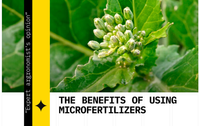 The benefits of using microfertilizers