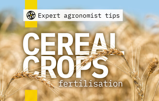 How to fertilise cereals with foliar fertilisers