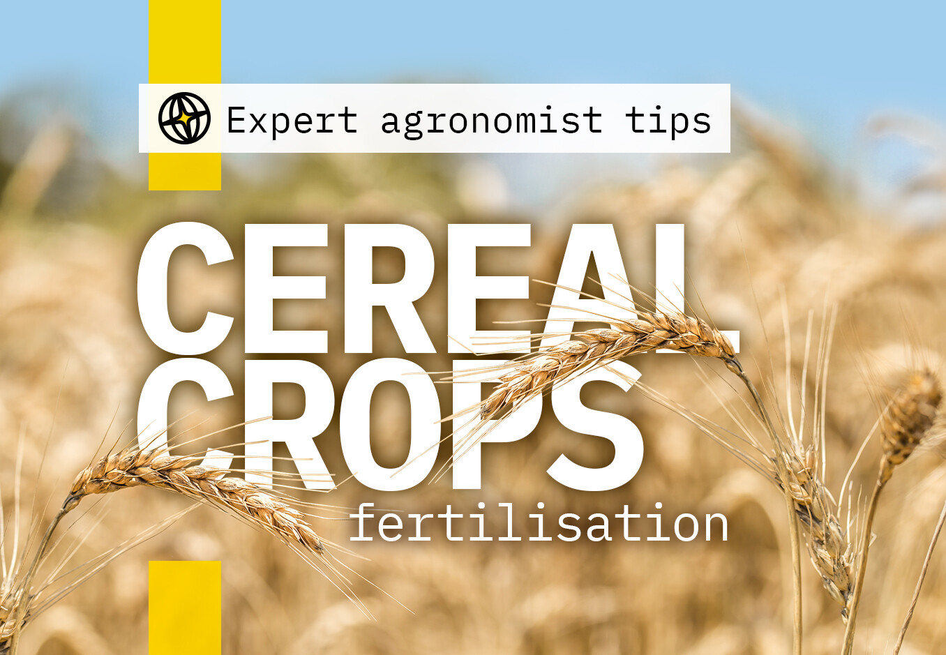 How to fertilise cereals with foliar fertilisers