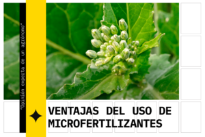 El uso de fertilizantes con micronutrientes