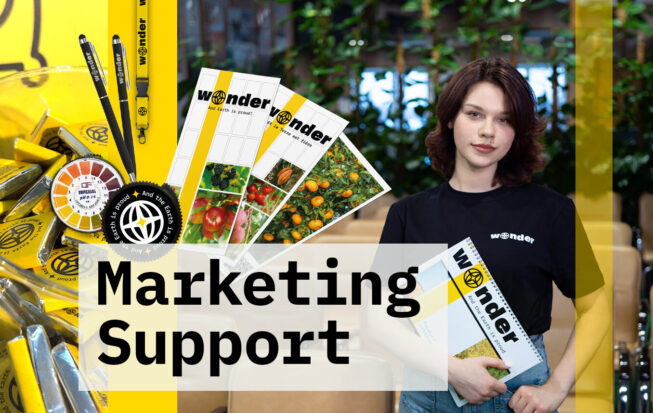 Marketing support for everyone