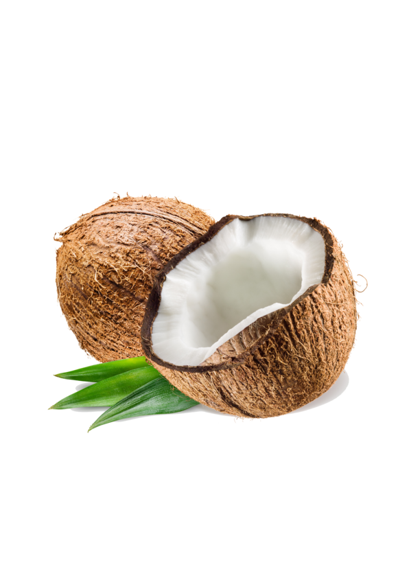 coconut with leaf