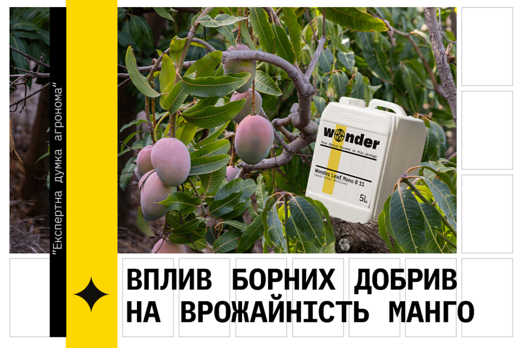 Важливість борних добрив