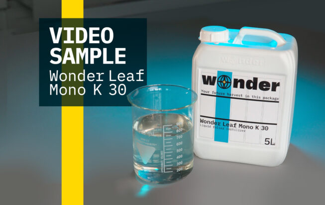 Wonder Leaf Mono K30