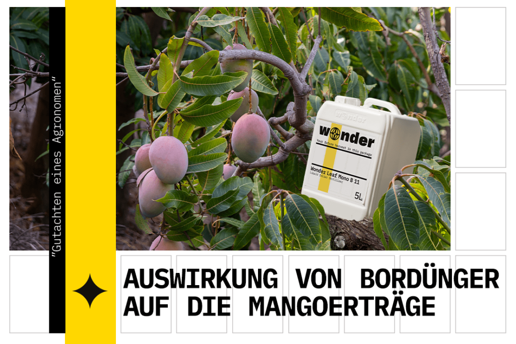 Die Bedeutung von Bordüngemitteln