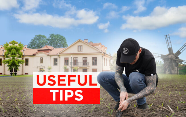 Start your land plot