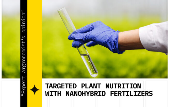 Nanohybrid fertilizers