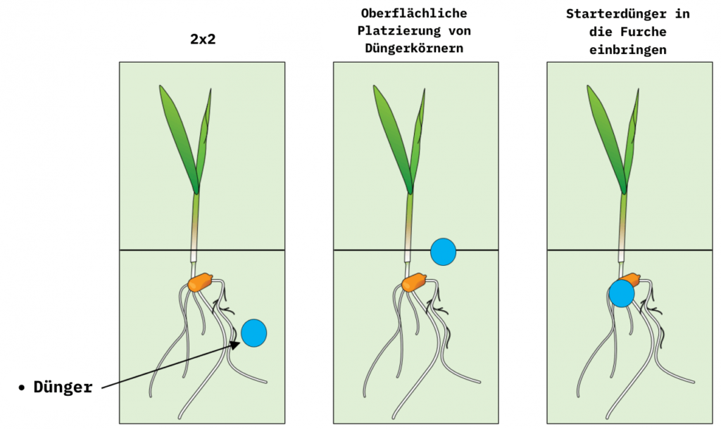 Einfache Platzierung – Direkte Ernährung