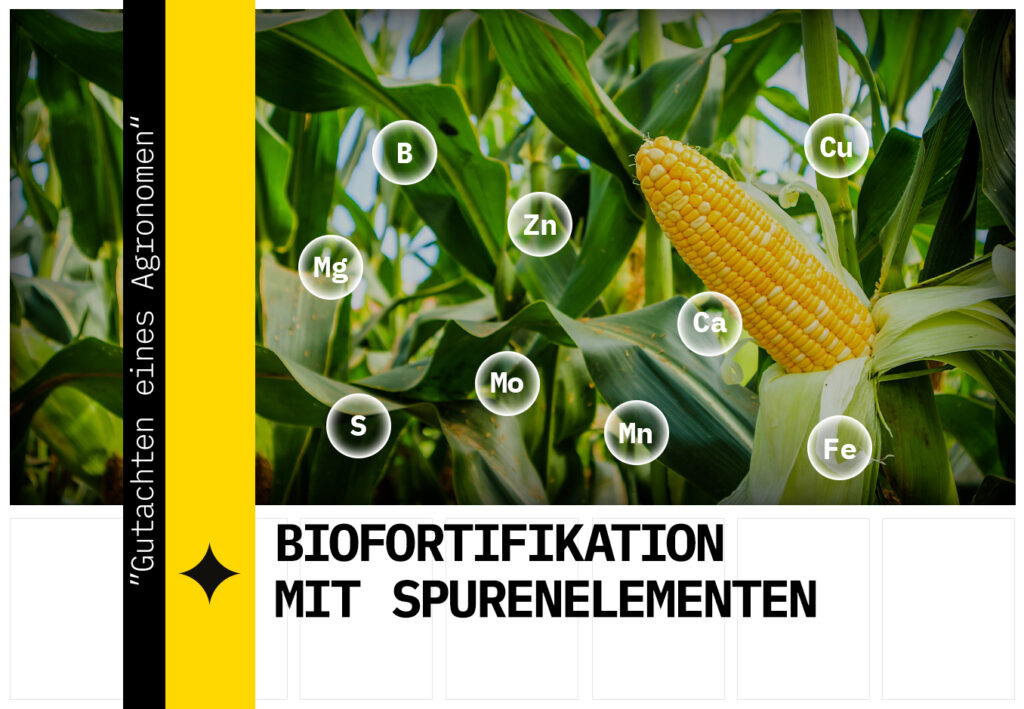 BIOFORTIFIKATION MIT SPURENELEMENTEN