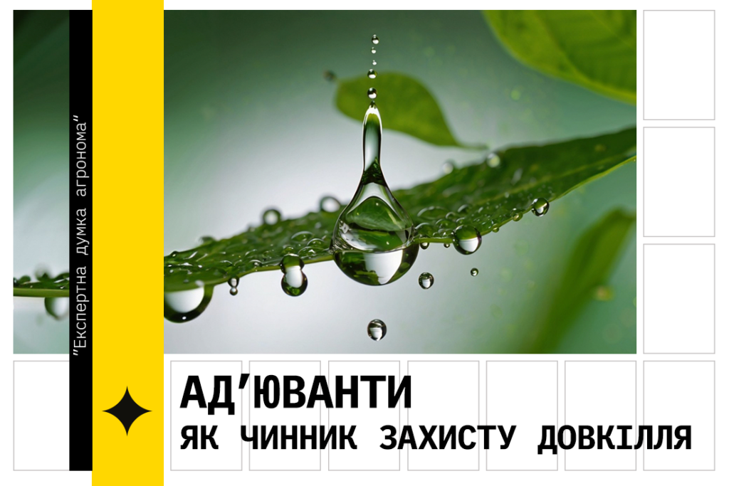 АД’ЮВАНТИ, ЯК ЧИННИК ЗАХИСТУ ДОВКІЛЛЯ