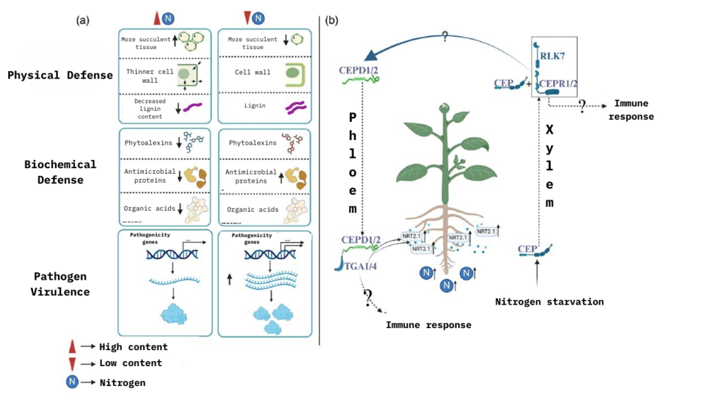 nutrient availability