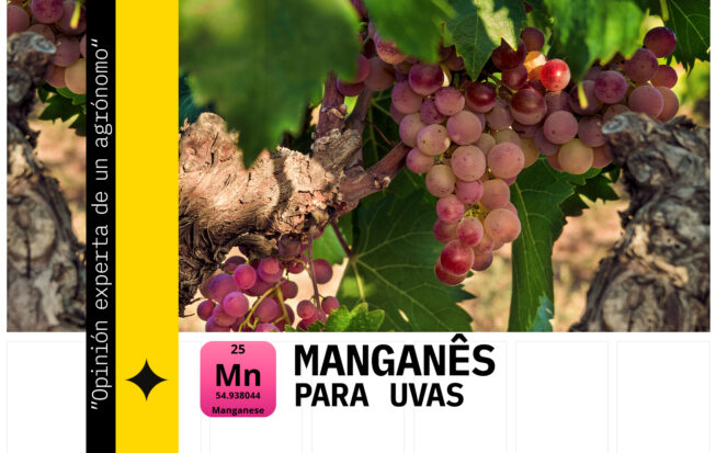 micronutriente esencial para el crecimiento de las plantas