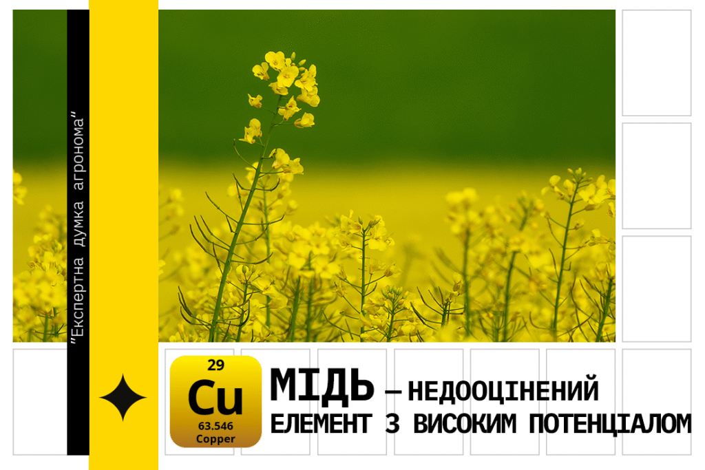 підживлення міддю