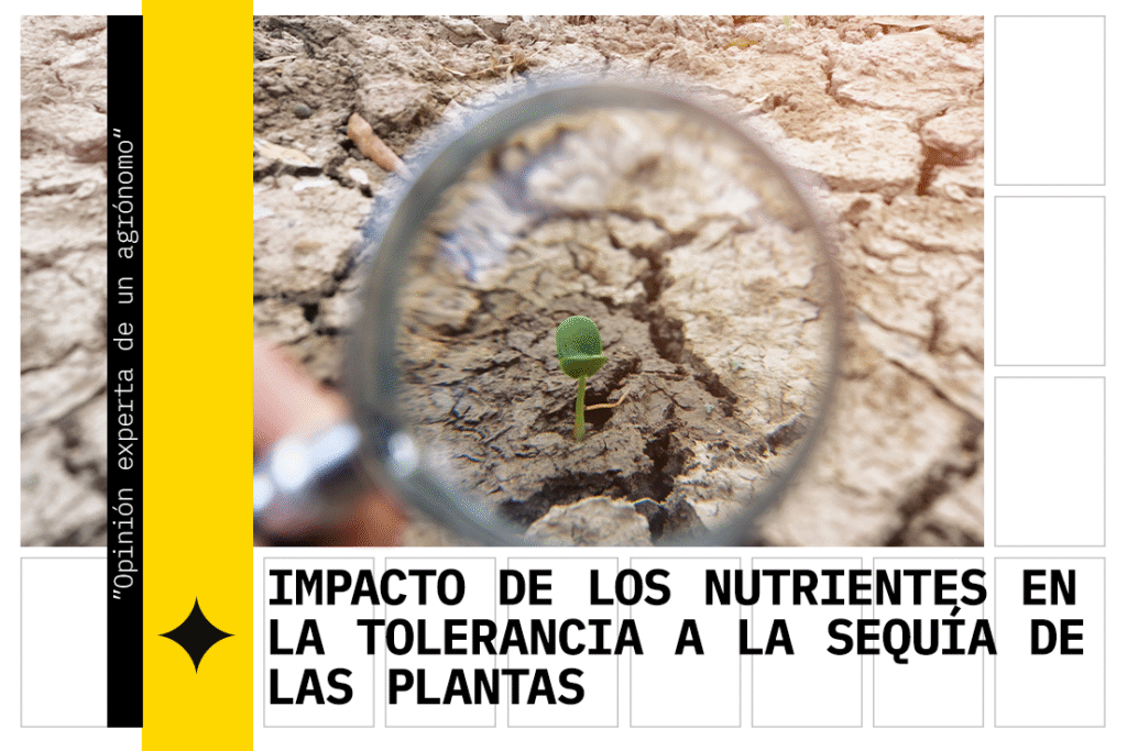 resistencia a la sequía