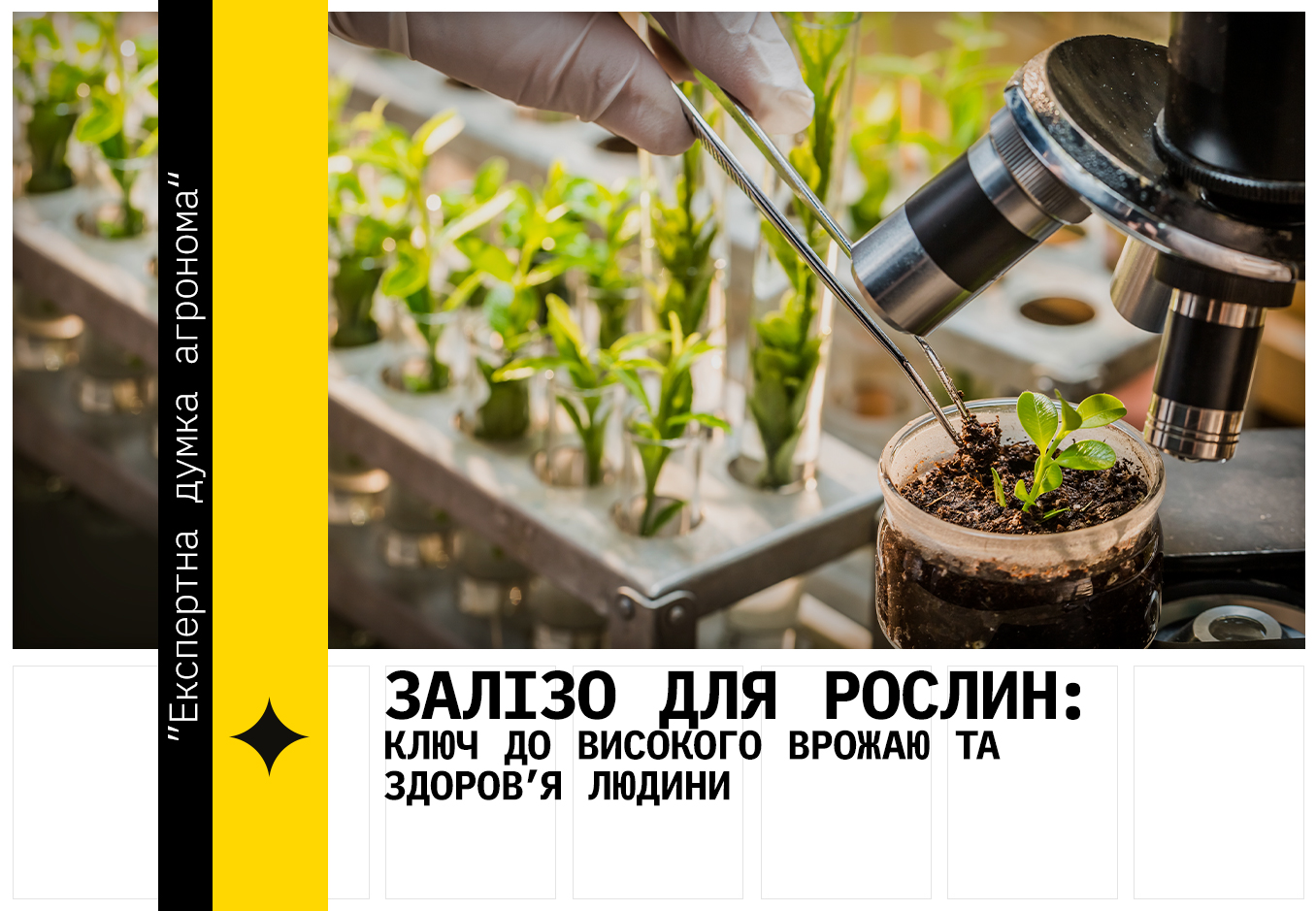 залізо (Fe)