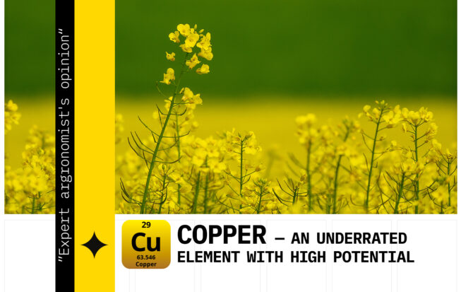 copper fertilization