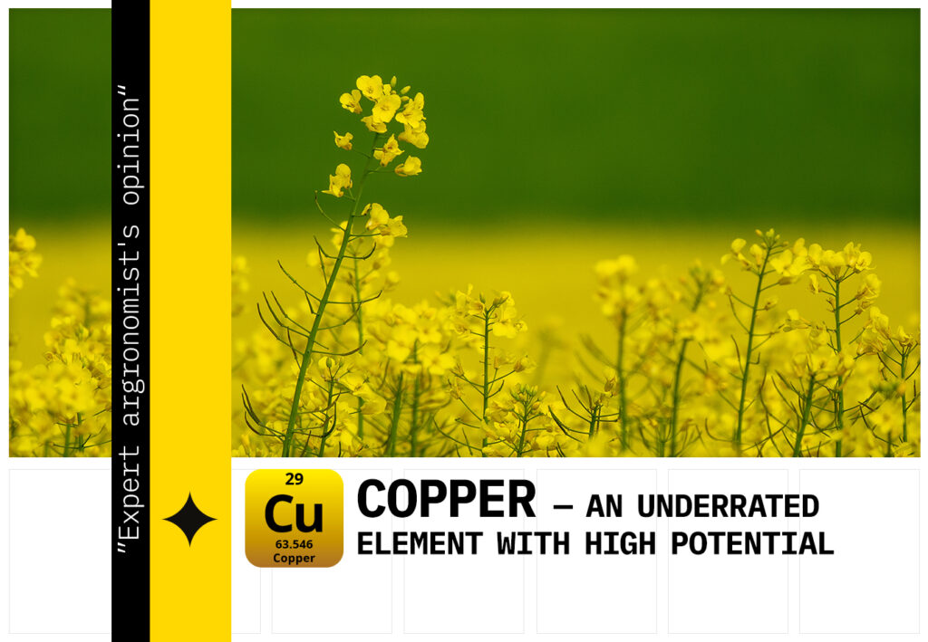 copper fertilization